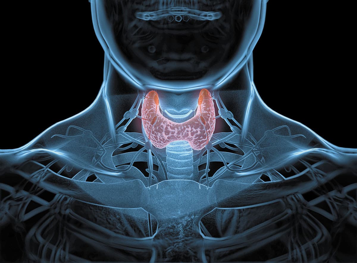 Doctor-Recommended Superfoods to Balance Your Thyroid Naturally!