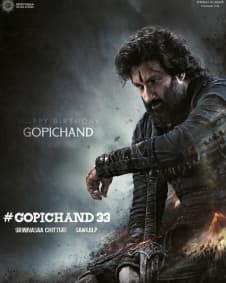 You'll be shocked when you hear the budget of Gopichand’s movie!