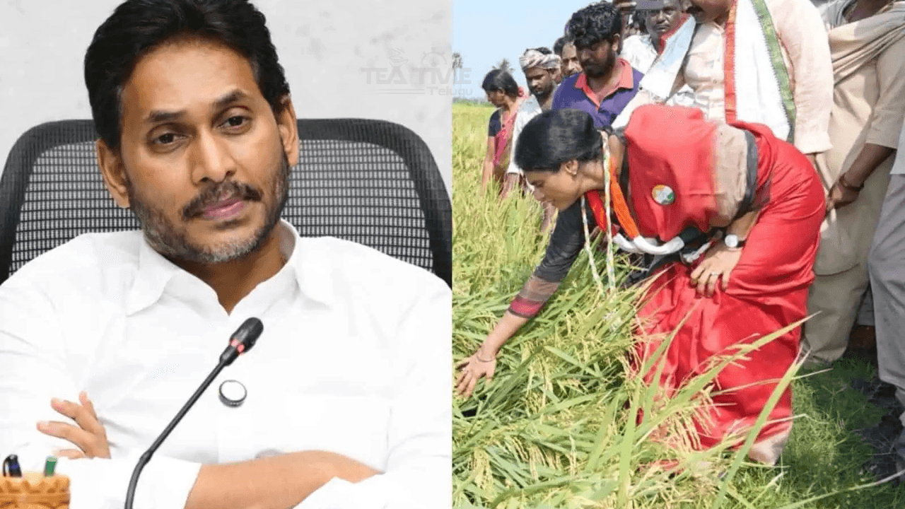 Montha Cyclone: Sharmila Steps Up Where Jagan Stayed Silent