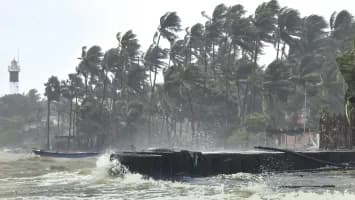 Cyclone Ditva wreaks havoc in Sri Lanka