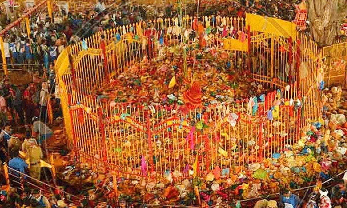 Reinstallation of Sacred Pedestals at Medaram in Accordance with Tribal Traditions