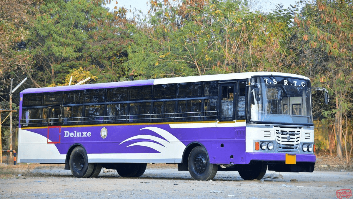 Elaborate arrangements for Sankranthi... Over 5,000 special buses
