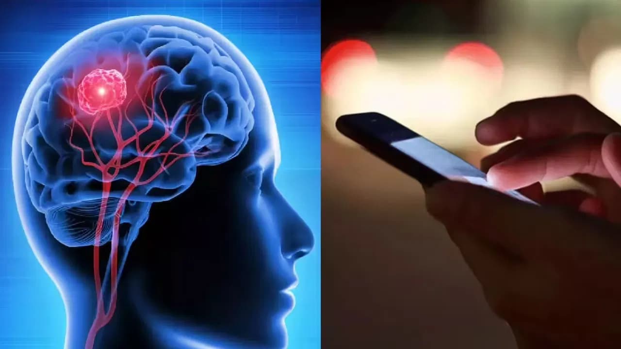 Excessive Phone Use Harms the Brain – Doctors