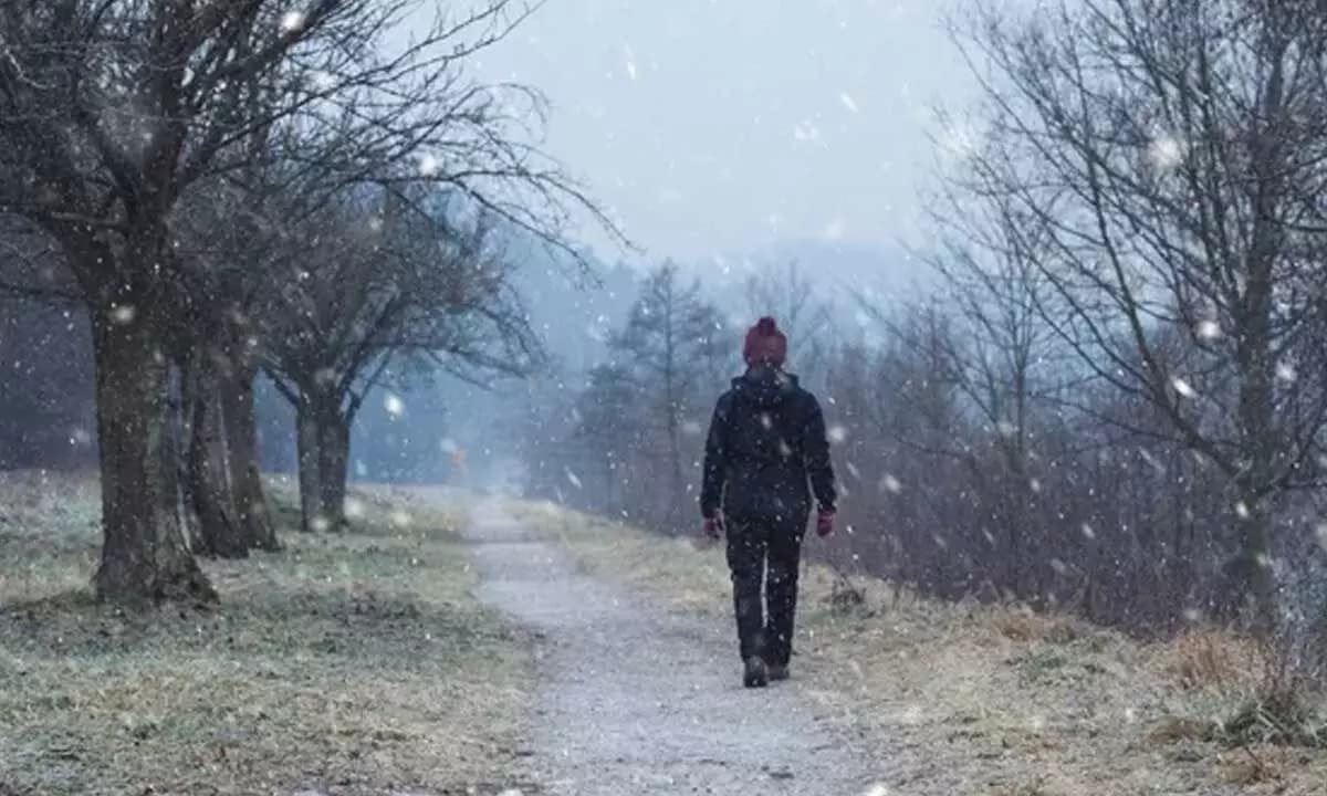Morning Walk Is the Best Winter Habit for Health, Say Doctors