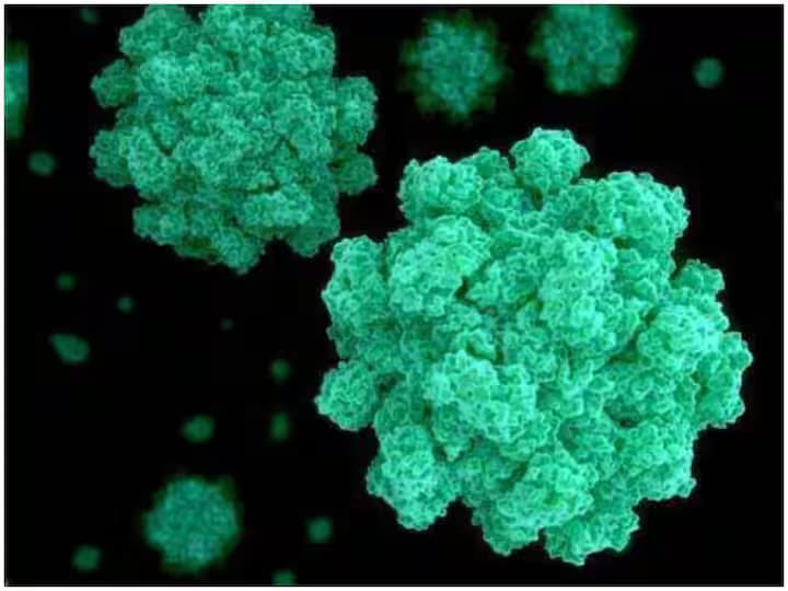 Norovirus Scare In China !