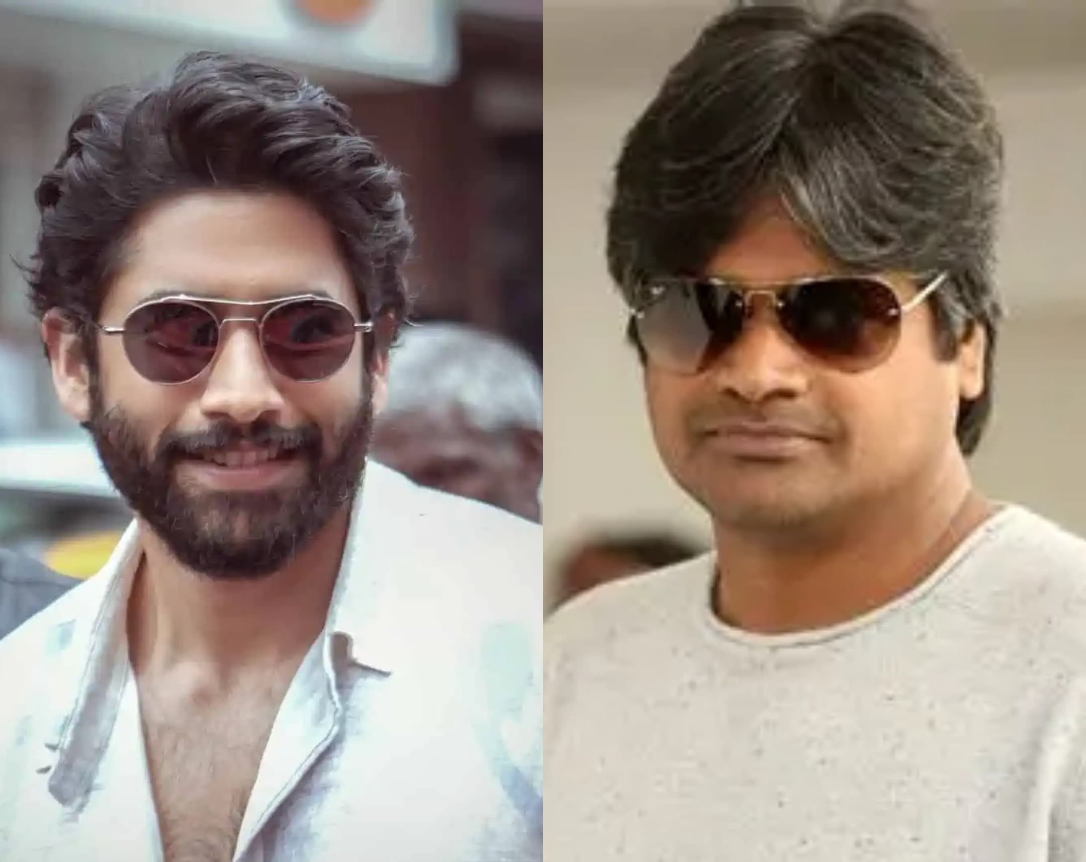 Naga Chaitanya Under Harish Shankar’s Direction?