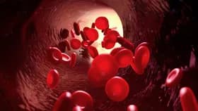 Doctor’s Advice for Individuals with Hemoglobin Deficiency