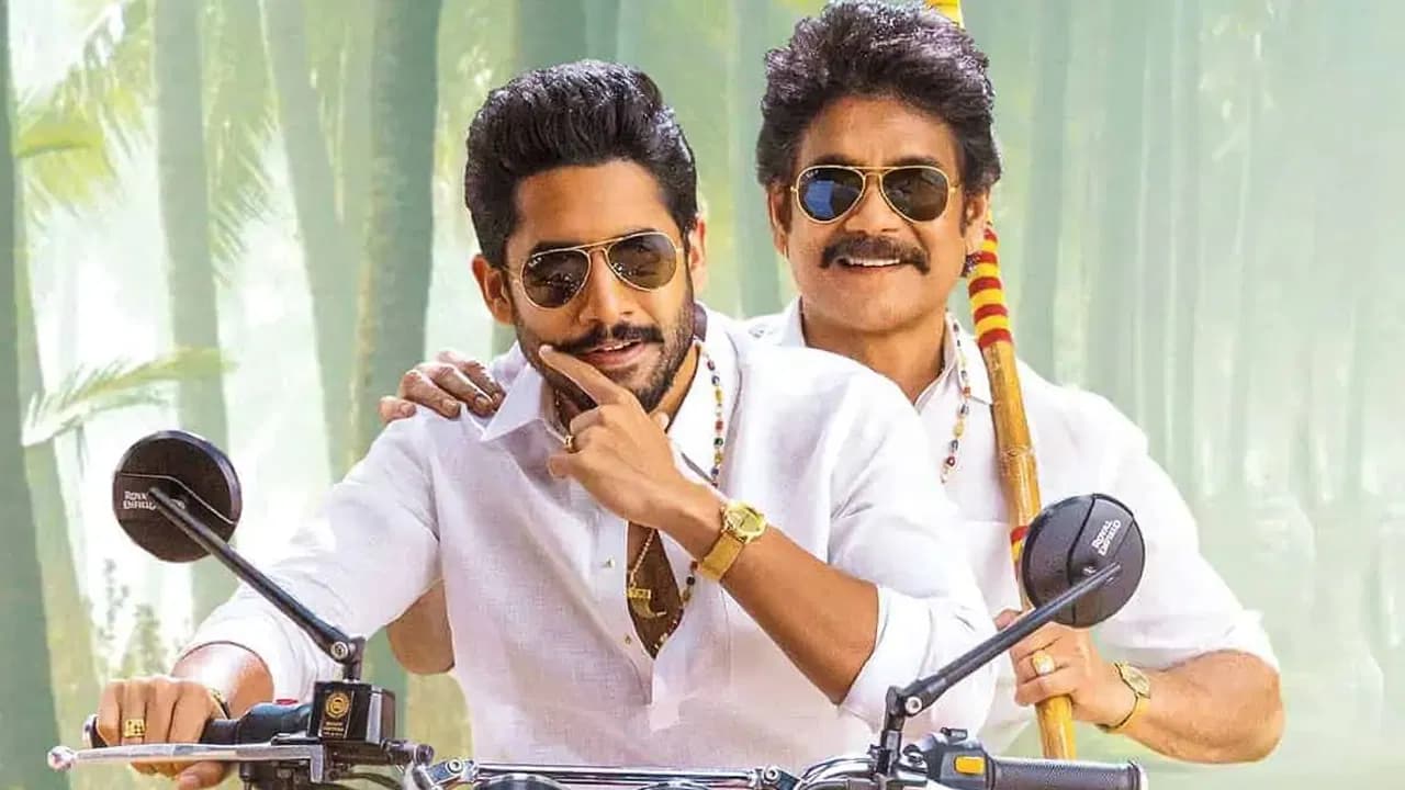 Akkineni heroes lock a date for the upcoming Sankranthi festival...