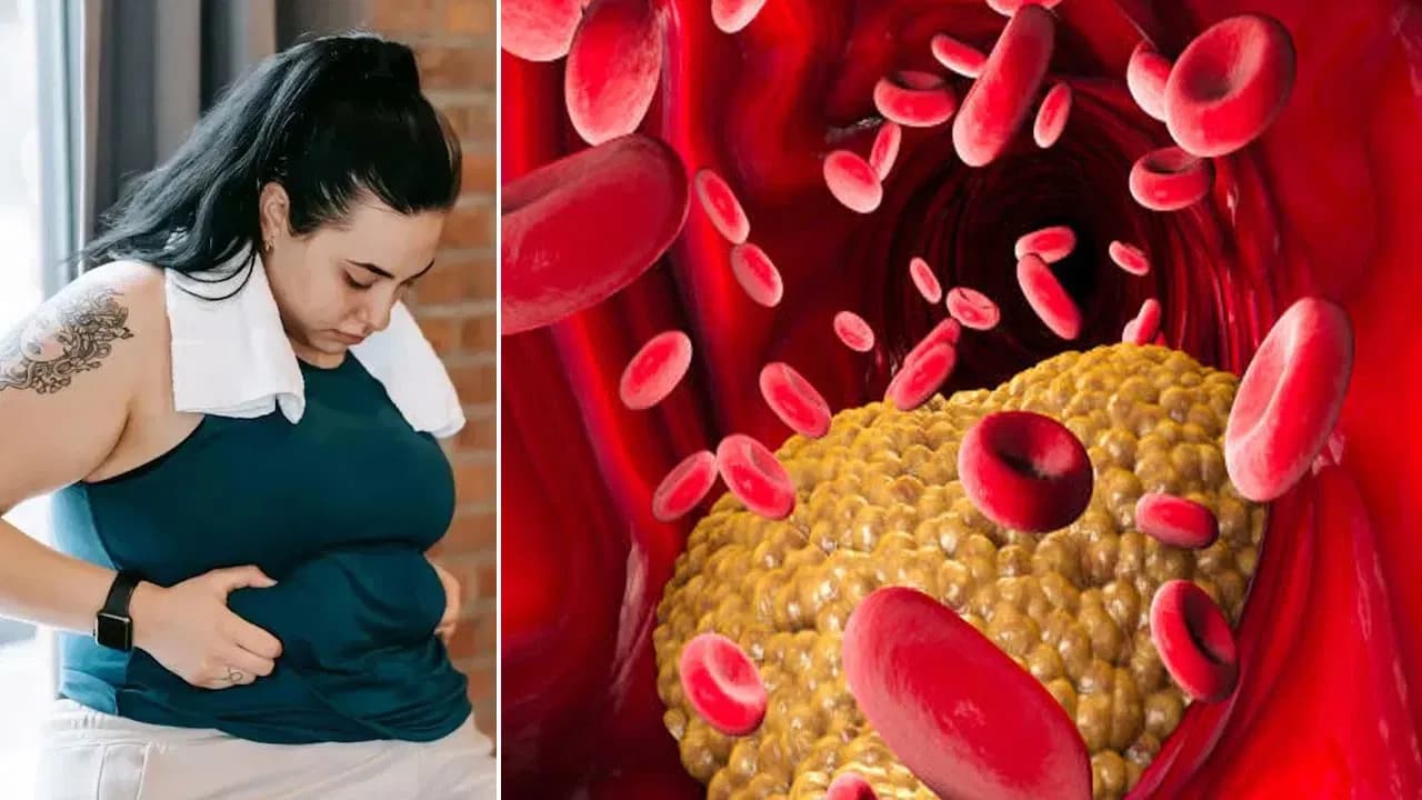 High Cholesterol Poses Serious Risk to the Heart, Warns Dr. Ajay Kumar