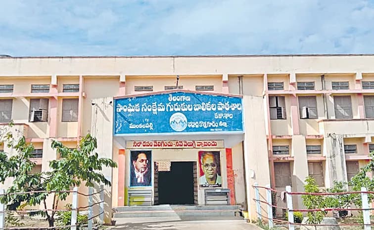 Telangana Government Special Focus on Gurukuls