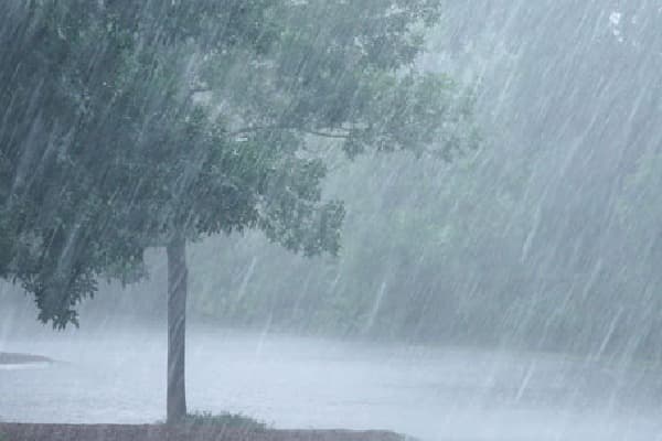 Heavy Rain Showers Over Northern Telangana at Midnight...