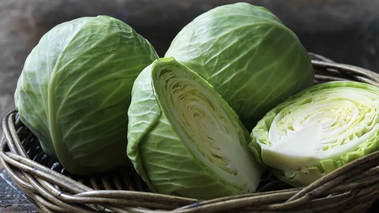 Is Cabbage Good for Everyone? Key Recommendations from Doctors