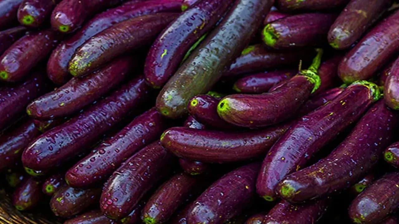 Allergies and Digestive Issues from Brinjal: Expert Advice