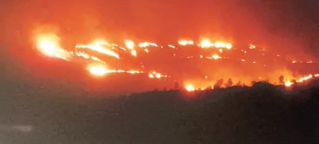 Major fire breaks out in Horsley Hills