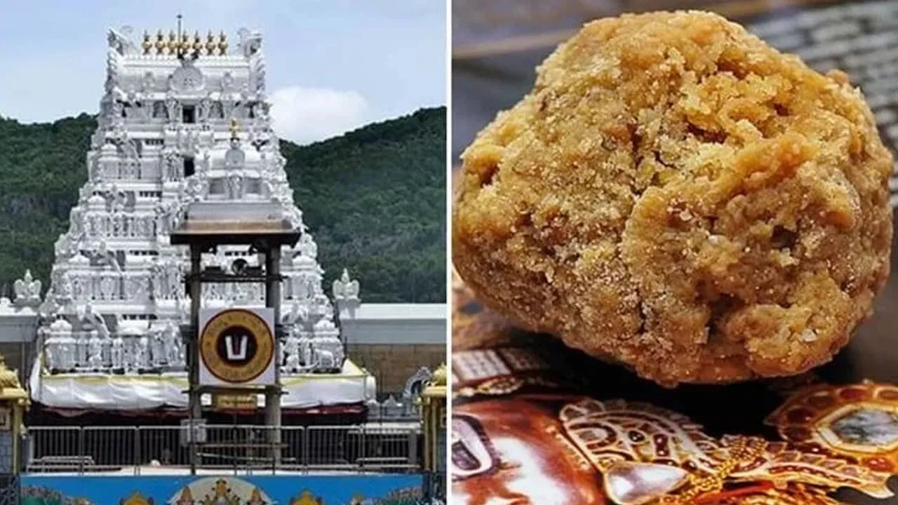 Tirumala Ghee Case Takes a Key Turn: Officials Before the Commission