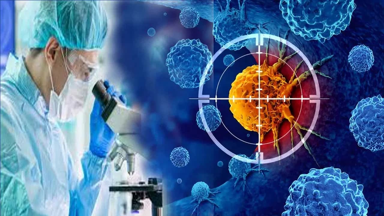 Is Immunotherapy Suitable for Every Cancer Patient? Experts Explain