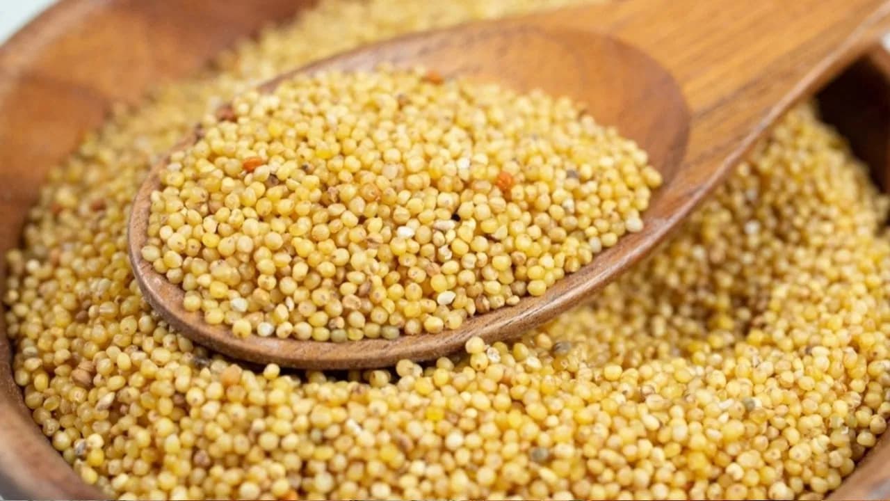 How Samalu (Foxtail Millet) Porridge Aids Weight Loss: Expert Insights