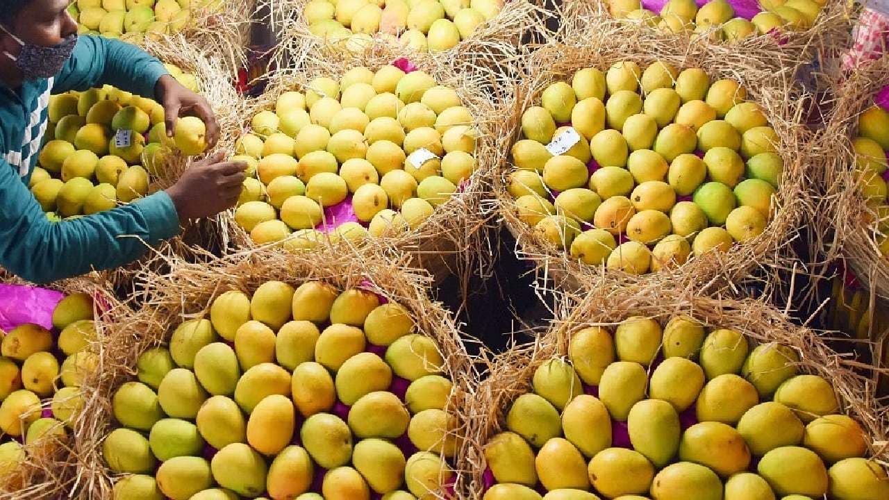 Mango Warehouses Raided In Hyderabad !