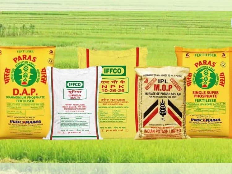 Central government increases subsidy on fertilizers