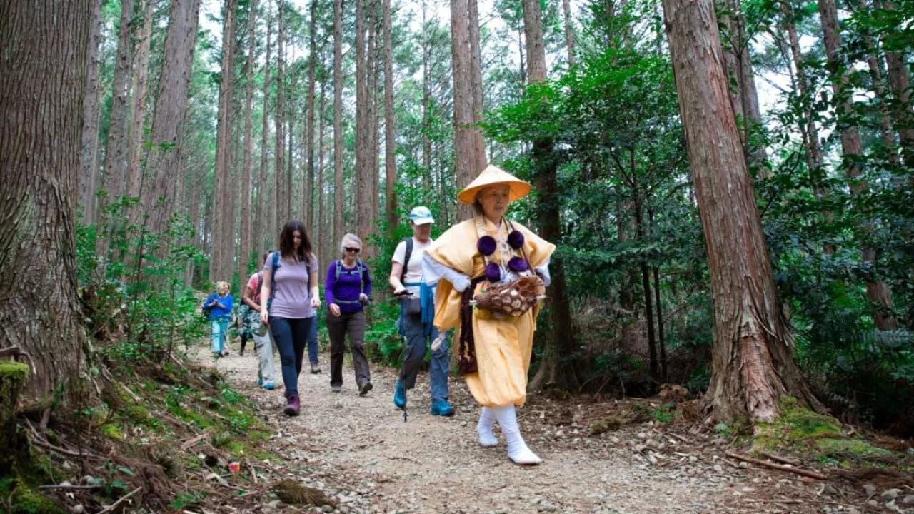 Doctors Explain the Health Benefits of Japanese Walking Technique