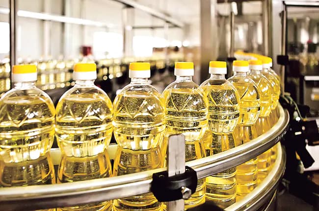 Growth in Edible Oil Imports; Palm Oil Plays a Key Role