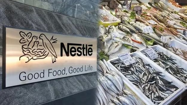 India’s Marine Exports Reach Record High Levels