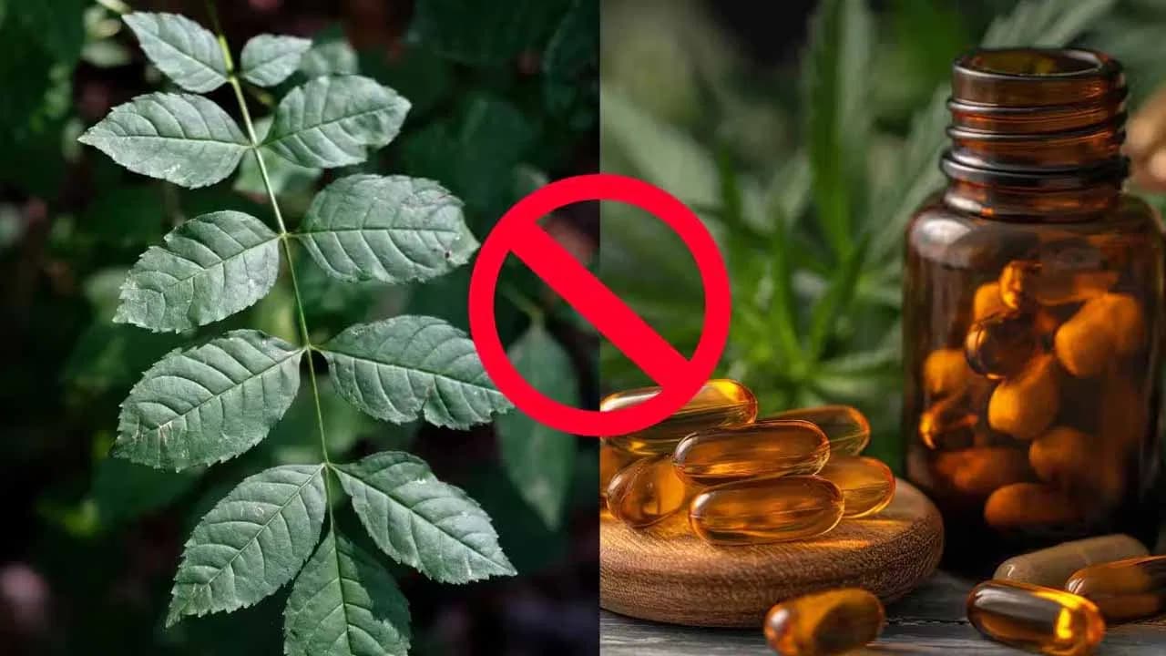 Ban on Ashwagandha Leaves: Key Reasons Explained by Doctors