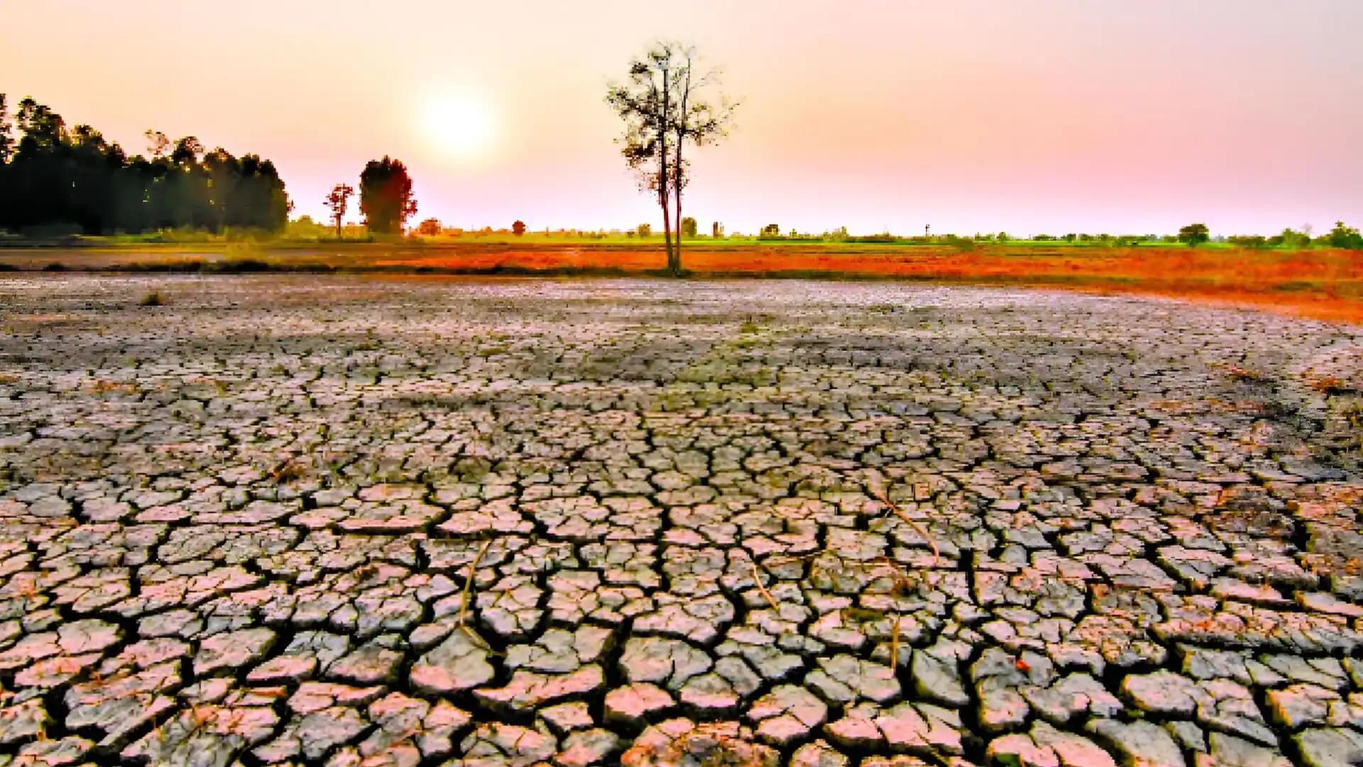 El Niño impact, scorching heat in Chittoor
