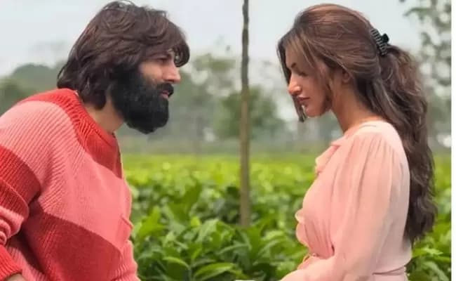 Is Sreeleela’s Bollywood Debut in Trouble?