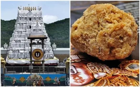 Tirumala Ghee Issue: Key Report to Be Submitted to Government on 30th