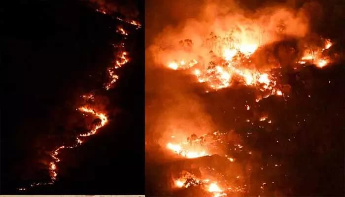 Massive Forest Fire in Seshachalam Hills!