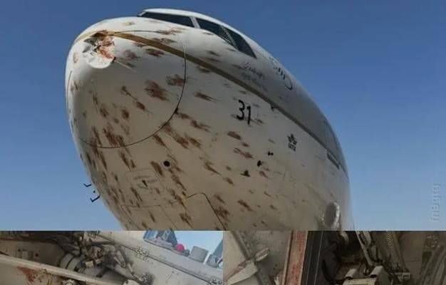 Flock of Birds Hits Aircraft; Major Accident Averted