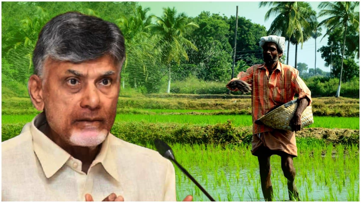 AP CM Chandrababu's special focus on farmers.