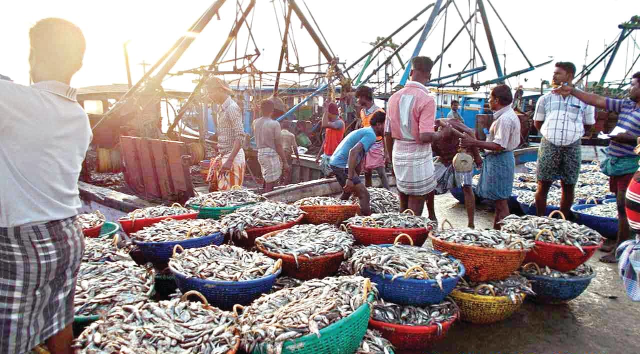 Budget Brings Assurance to Fishermen..