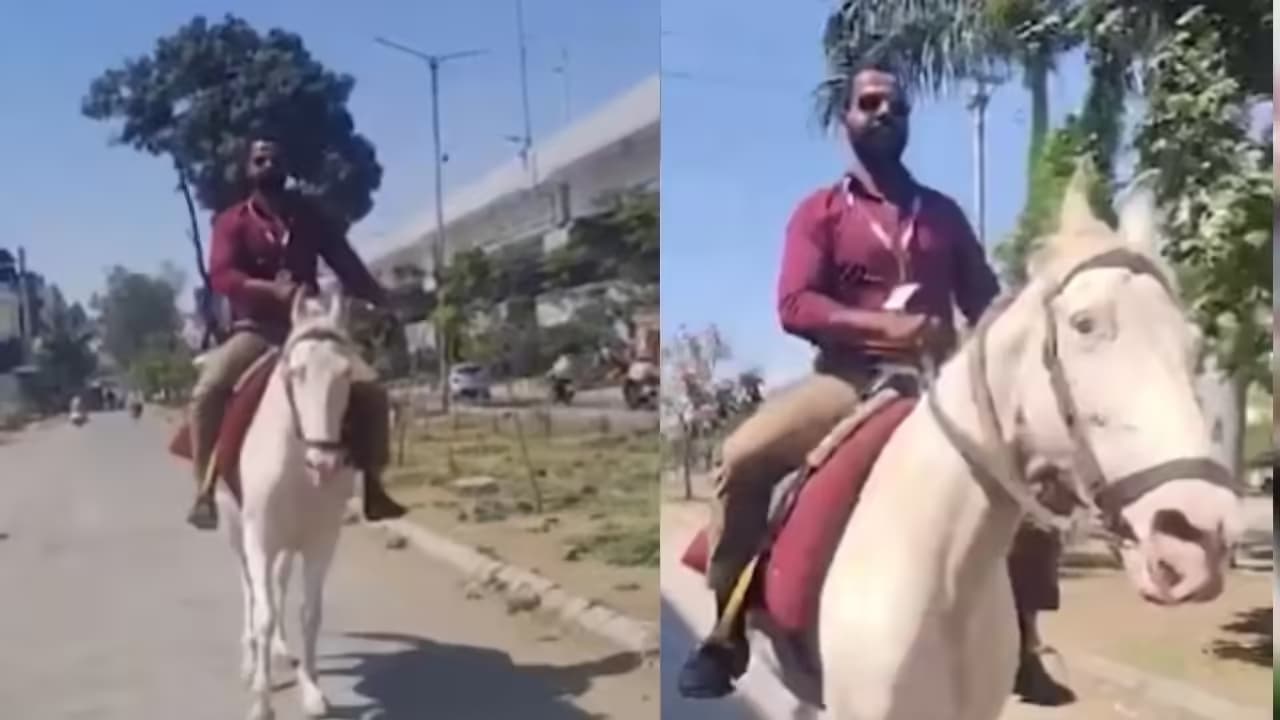 Fuel Crisis Sparks Creativity: Bank Employee Rides Horse to Office in Madhya Pradesh!