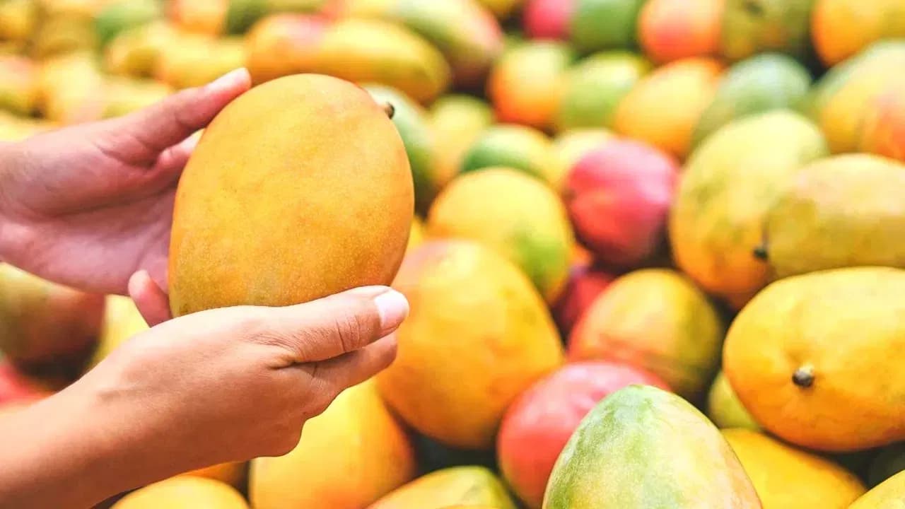 Must-Check Factors Before Buying Mangoes