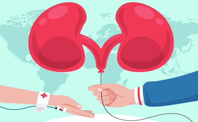 Kidney Problems During Pregnancy: What Precautions Are Essential? Expert Advice