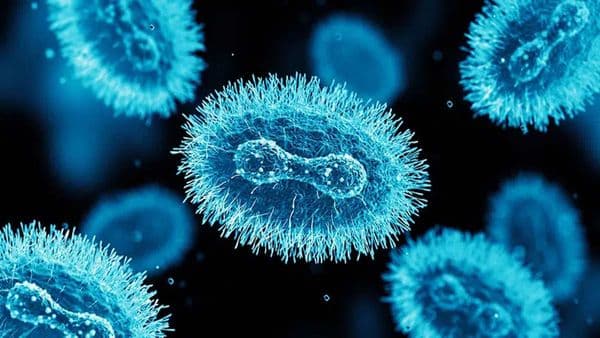 Mpox Panic in Pakistan