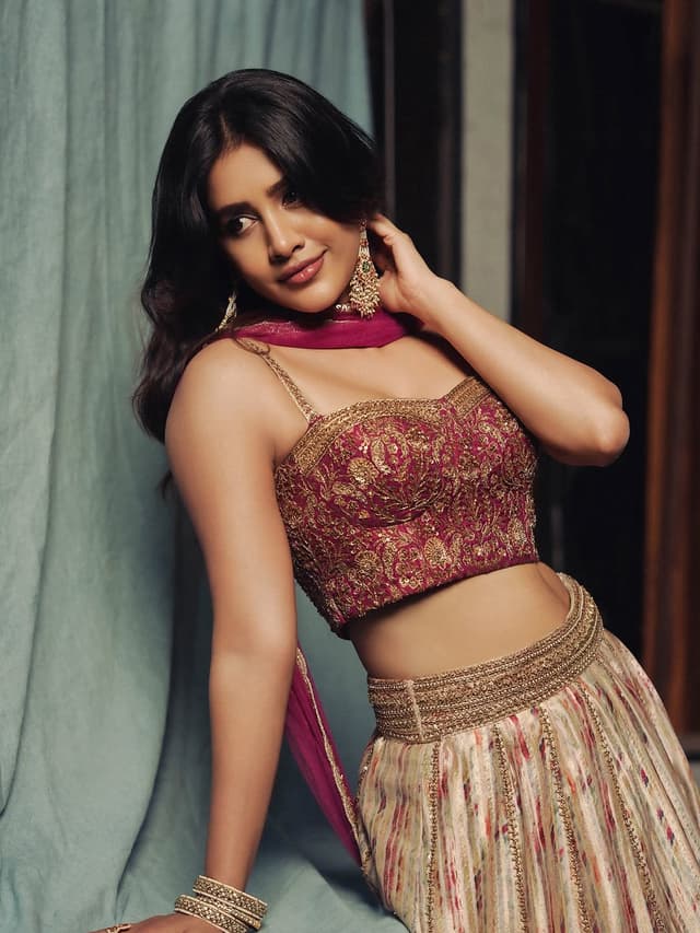 Nabha Natesh Radiates Glamour in Ethnic Chic Look!